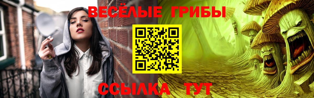 Галлюциногенные грибы мухоморы  Вход с VPN  Саратов  Галлюциногенные грибы Psilocybe 